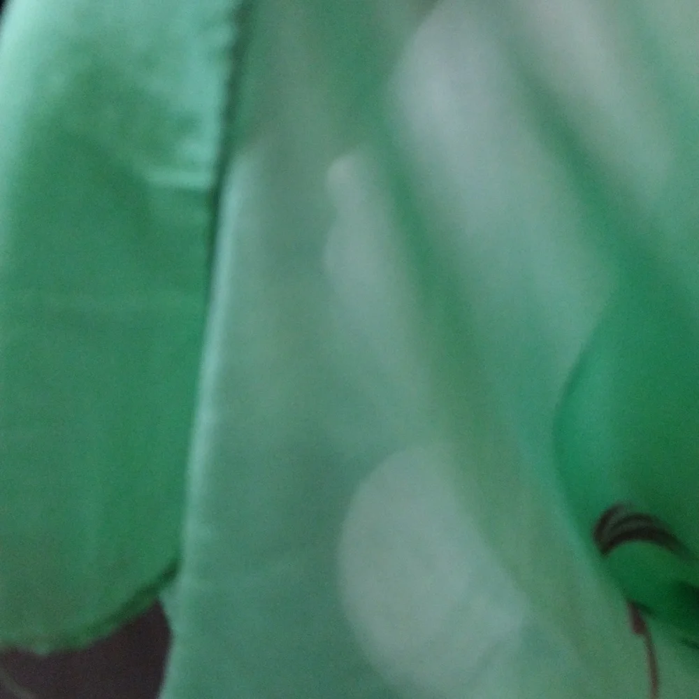 Vintage elegant green